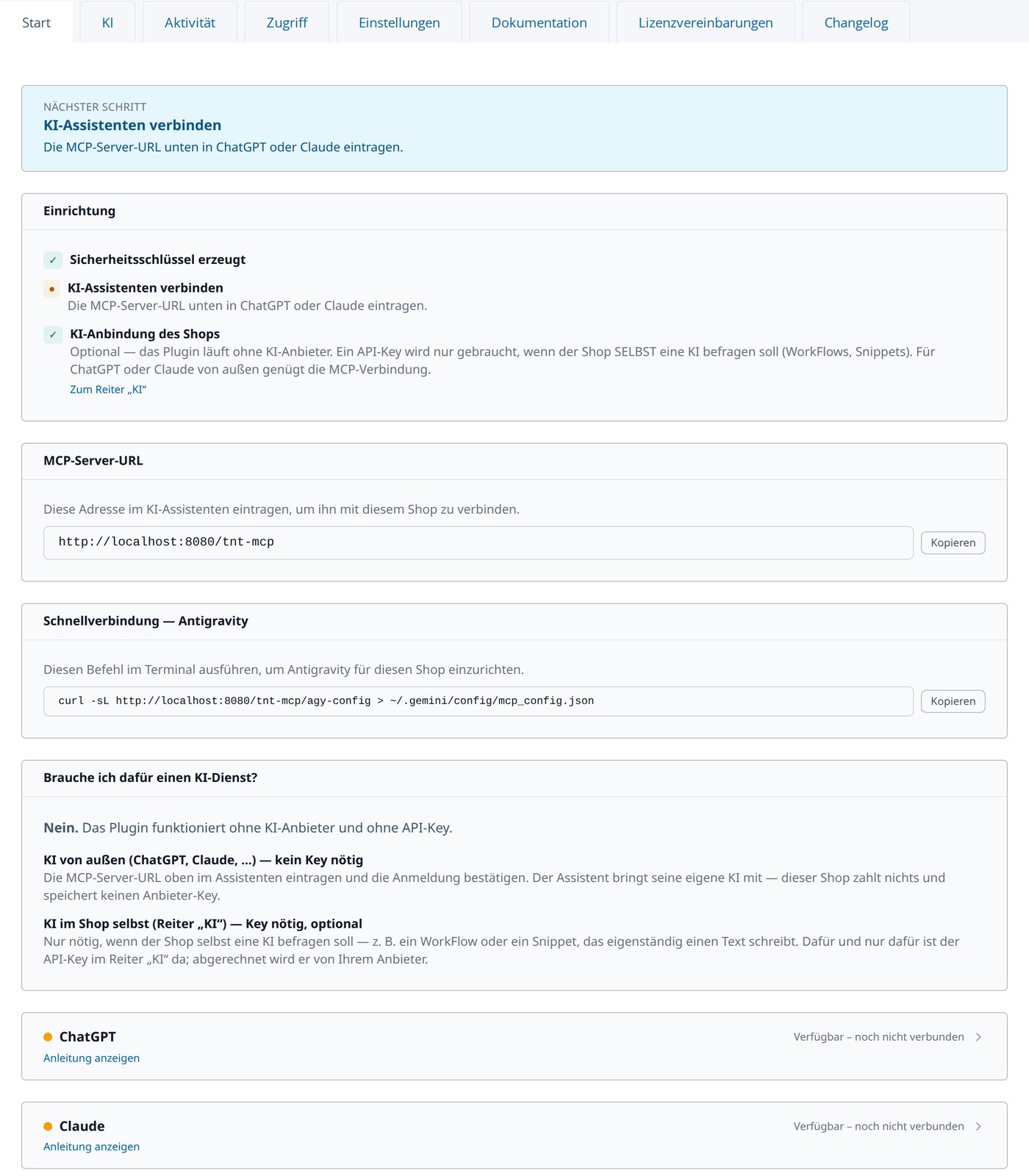Der Start-Reiter: Server-Adresse zum Einfügen in ChatGPT oder Claude, Modus und Anleitung.